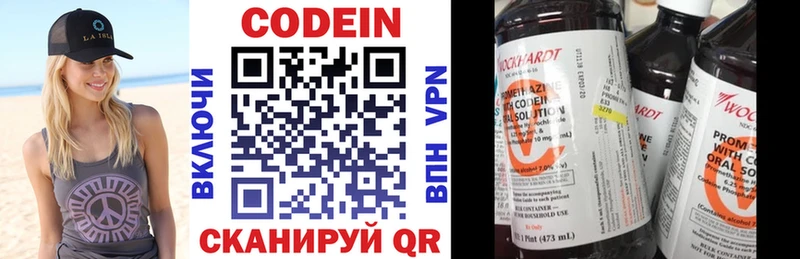 Купить закладки  Петровск-Забайкальский  Кодеин напиток Lean (лин) 
