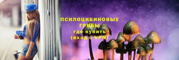 МДПВ Дмитров