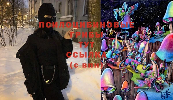 МДПВ Дмитров