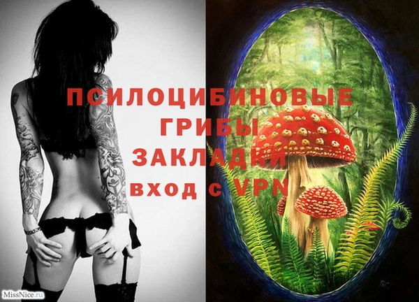 тгк Сосновоборск